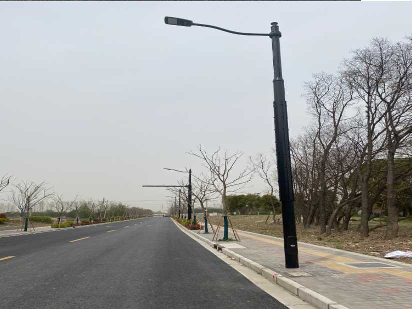西区上海综合杆 太阳能路灯工程